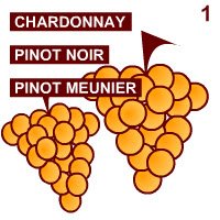 Champagne: Le uve dello Champagne. Champagne: Le uve dello Champagne.