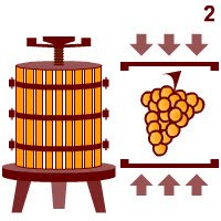 Champagne: Pressatura e fermentazione. Champagne: Pressatura e fermentazione.