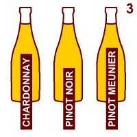 Champagne: I vini base dello Champagne. Champagne: I vini base dello Champagne.
