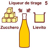 Champagne: La seconda fermentazione dello Champagne. Champagne: La seconda fermentazione dello Champagne.