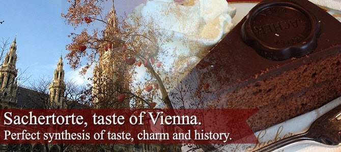 Sachertorte, taste of Vienna.