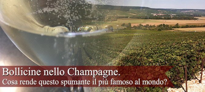 Champagne: Bollicine nello Champagne. Champagne: Bollicine nello Champagne.