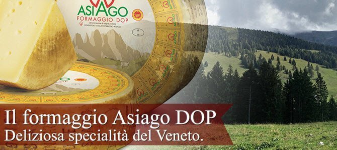 Il formaggio Asiago, deliziosa specialità del Veneto (img-01) Il formaggio Asiago, deliziosa specialità del Veneto (img-01)