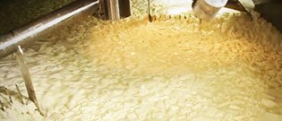 Pecorino Romano DOP: rottura della cagliata e cottura (crt-01) Pecorino Romano DOP: rottura della cagliata e cottura (crt-01)