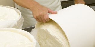 Gorgonzola DOP: la cagliata nelle forme (crt-01) Gorgonzola DOP: la cagliata nelle forme (crt-01)