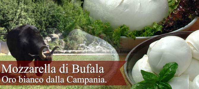 Mozzarella di Bufala, oro bianco dalla Campania (crt-01) Mozzarella di Bufala, oro bianco dalla Campania (crt-01)