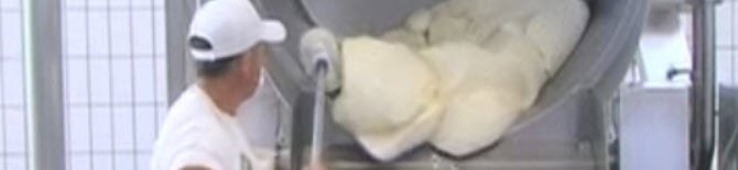 Mozzarella di Bufala: La ‘cagliata’ viene tagliata e disposta in appositi recipienti (crt-01) Mozzarella di Bufala: La ‘cagliata’ viene tagliata e disposta in appositi recipienti (crt-01)