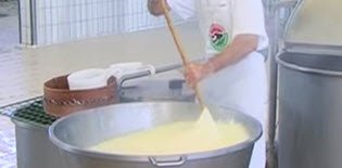 Mozzarella di Bufala: La ‘filatura’ (crt-01) Mozzarella di Bufala: La ‘filatura’ (crt-01)