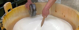 Mozzarella di Bufala: La ‘Taverna’, l’antico mercato della mozzarella di bufala (crt-01) Mozzarella di Bufala, La ‘Taverna’: l’antico mercato della mozzarella di bufala (crt-01)