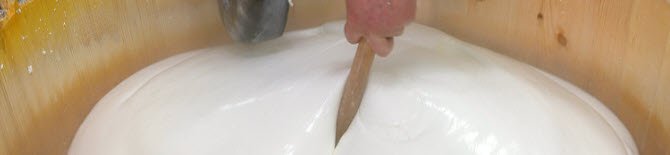 Mozzarella di Bufala: La ‘Taverna’: l’antico mercato della mozzarella di bufala (crt-01) Mozzarella di Bufala: La ‘Taverna’: l’antico mercato della mozzarella di bufala (crt-01)