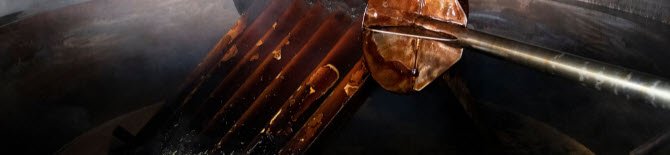 Aceto Balsamico: Il mosto è miscelato al vino (crt-01) Aceto Balsamico: Il mosto è miscelato al vino (crt-01)