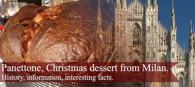 Panettone cake: Panettone, Christmas dessert from Milan. Panettone cake: Panettone, Christmas dessert from Milan.