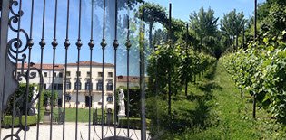 Historic Food Places: A villa, Goldoni and the Friularo wine. Historic Food Places: A villa, Goldoni and the Friularo wine.