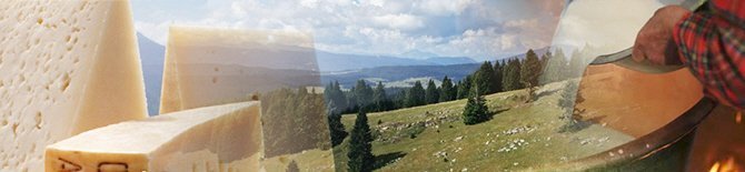 Salumi e Formaggi: Il formaggio Asiago DOP. Salumi e Formaggi: Il formaggio Asiago DOP.