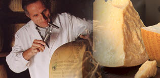 Food and Wine Specialties from Emilia-Romagna: Parmigiano Reggiano PDO. Food and Wine Specialties from Emilia-Romagna: Parmigiano Reggiano PDO.