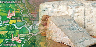Salumi e Formaggi: Il Gorgonzola DOP. Salumi e Formaggi: Il Gorgonzola DOP.