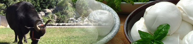 Salumi e Formaggi: La Mozzarella di Bufala Campana DOP. Salumi e Formaggi: La Mozzarella di Bufala Campana DOP.