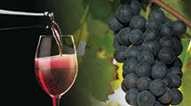 The most typical food and wine specialties: Lambrusco wine.